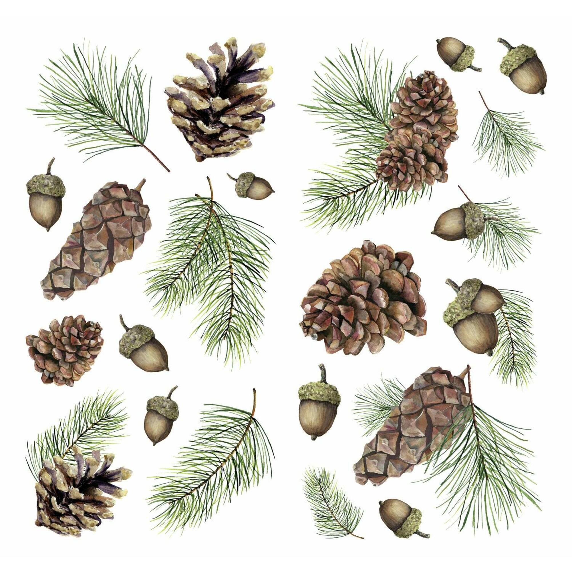RoomMates Acorn & Pinecone Peel & Stick Wall Decals
